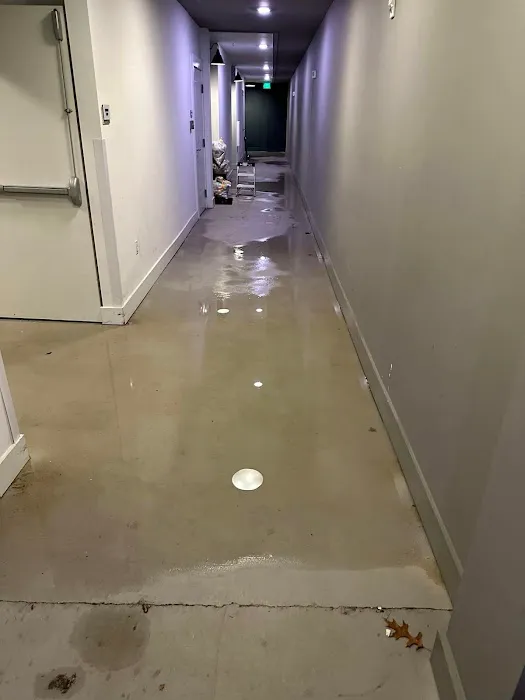 Texas Pro water damage Picture 4
