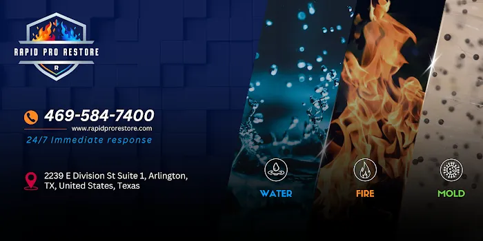 Rapid Pro Restore Picture 5