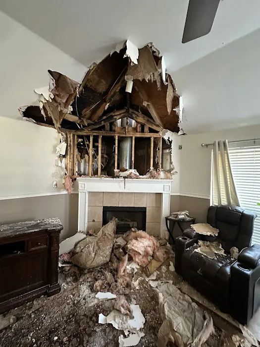 Rapid Pro Restore Picture 10