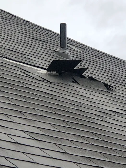 Specialty Restoration of Texas Picture 5