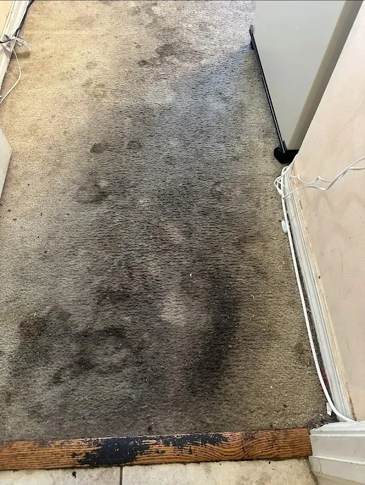 Eagle Services Cleaning and Restoration, LLC Picture 3