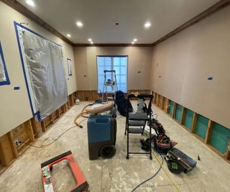 Standard Restoration Dallas