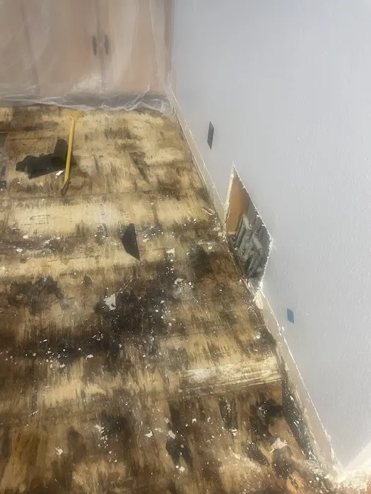 Standard Restoration Dallas Picture 10