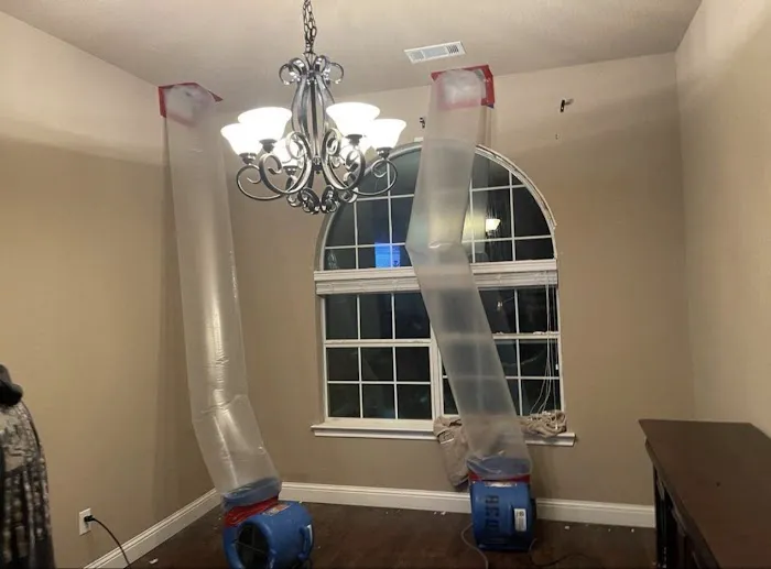 Bingham Restoration Picture 6