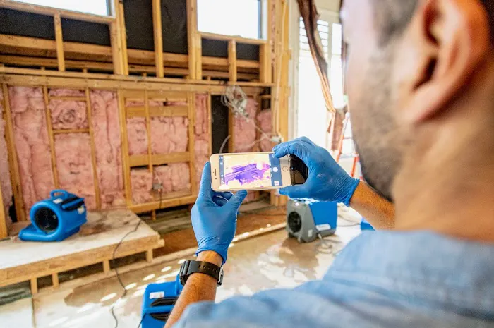 Bingham Restoration Picture 4