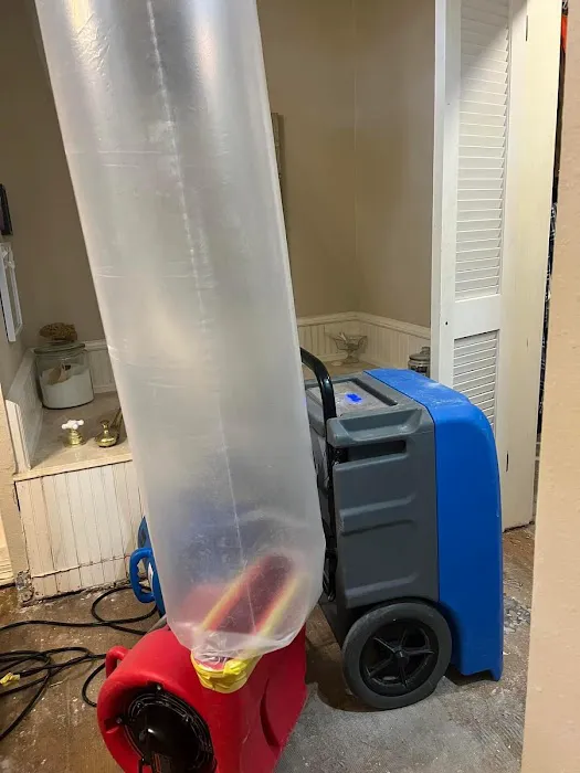 Bingham Restoration Picture 7