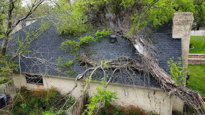 High Caliber Restoration Picture 10