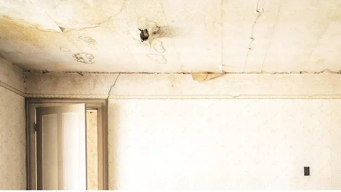 Restore-Aid Picture 2