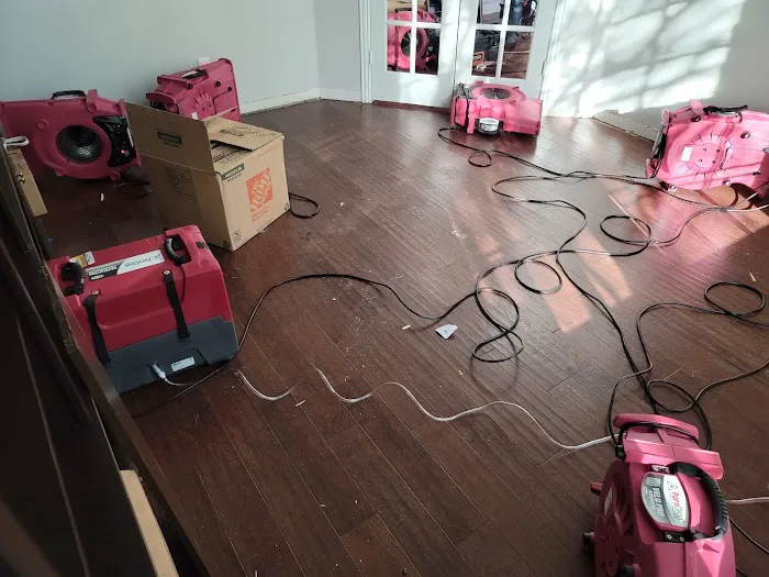 PuroClean of East Arlington Picture 5