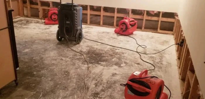 Berliner Water Damage Picture 1