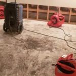 Berliner Water Damage