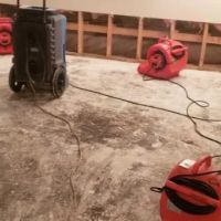 Berliner Water Damage ico
