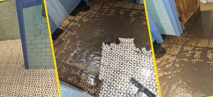 Berliner Water Damage Picture 2