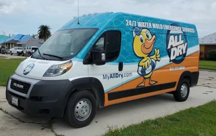 All Dry Services Picture 3