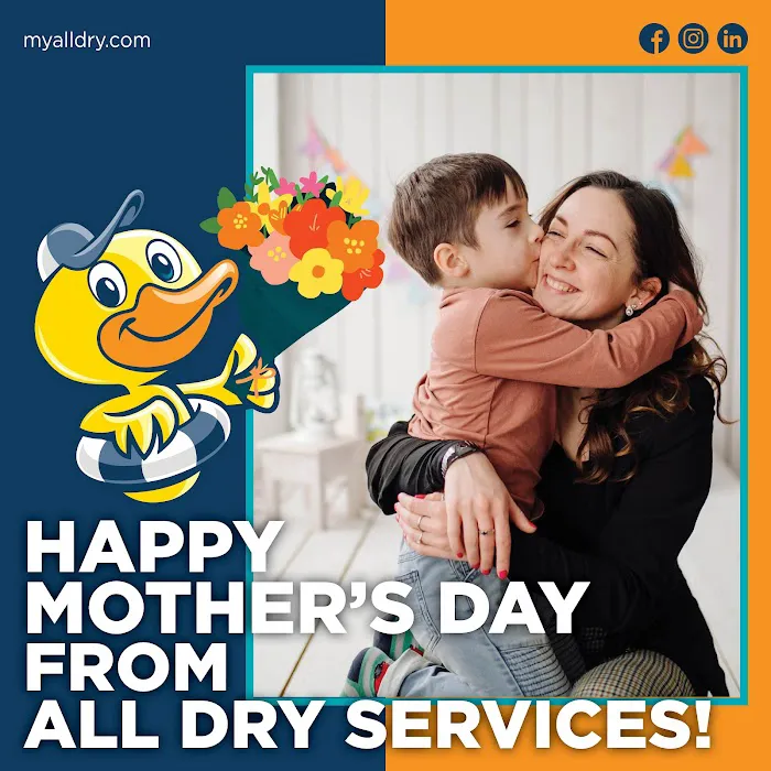 All Dry Services Picture 10