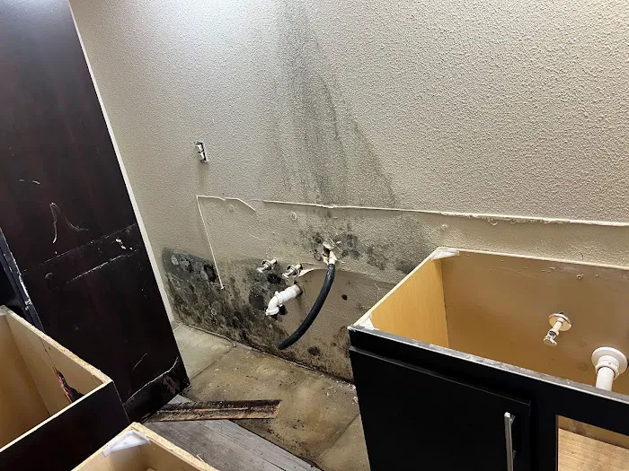 All Dry Services Picture 6