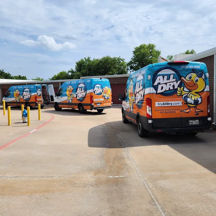 All Dry Services Picture 5