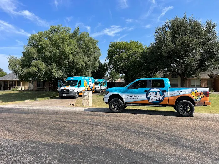 All Dry Services Picture 9