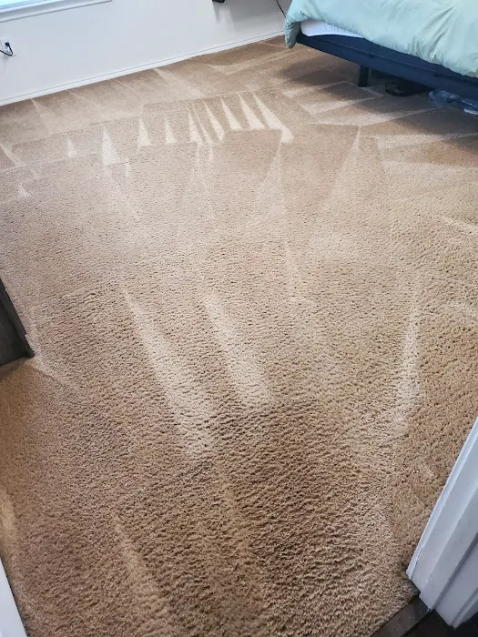 All Action Water Extraction & Carpet Cleaning Picture 1