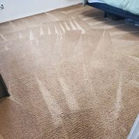 All Action Water Extraction & Carpet Cleaning ico