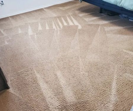 All Action Water Extraction & Carpet Cleaning