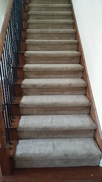 All Action Water Extraction & Carpet Cleaning Picture 8