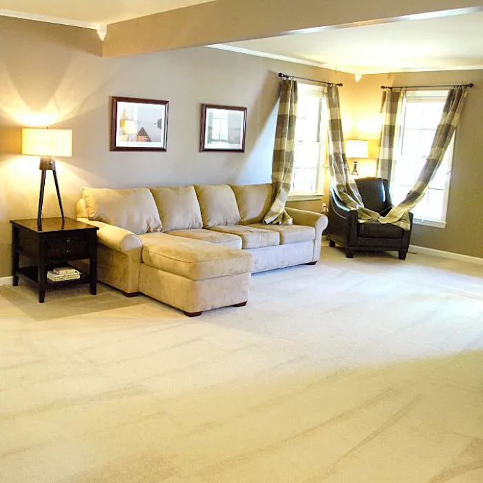 Tower's Restoration & Cleaning LLC Picture 3