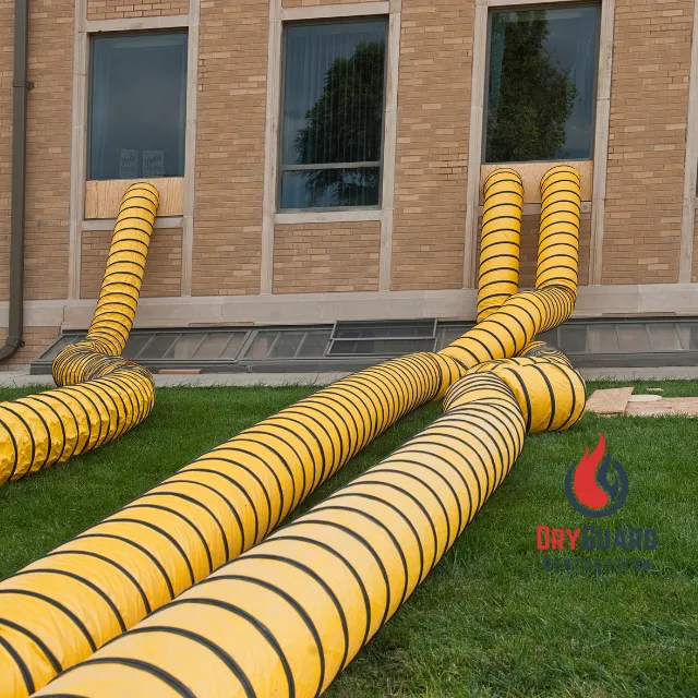 DryGuard Restoration Picture 9