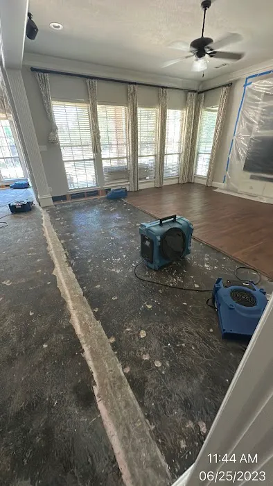 The Dry Guy Restoration Picture 8