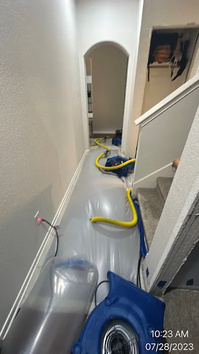 The Dry Guy Restoration Picture 10