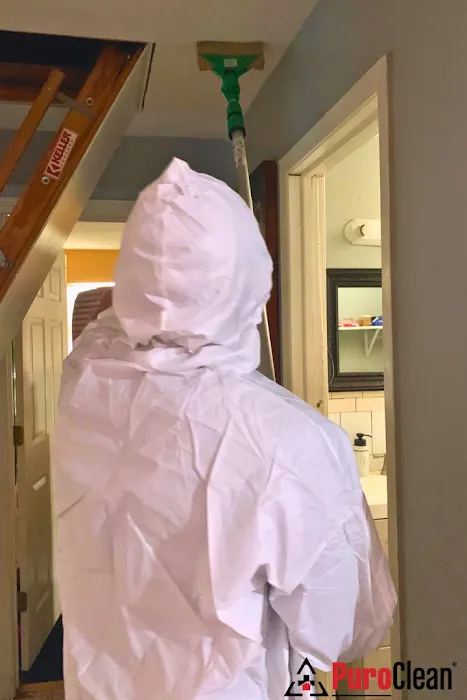 PuroClean of Irving Picture 10