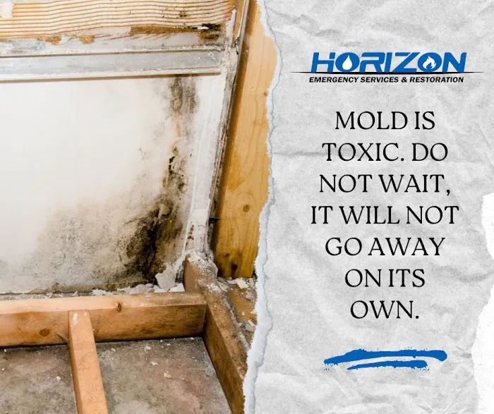 Horizon Emergency Services & Restoration Picture 2