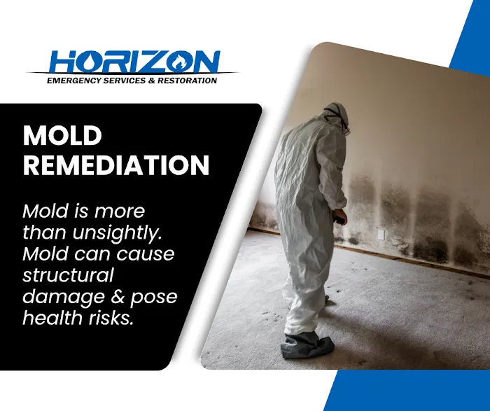 Horizon Emergency Services & Restoration Picture 7