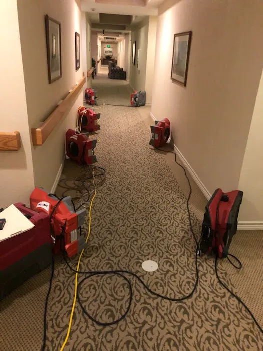 PuroClean of Fort Worth Picture 4