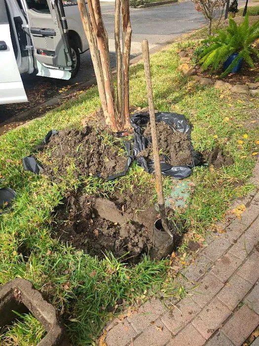 Icon Plumbing Picture 10