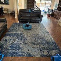 LCS Cleaning Concepts ico