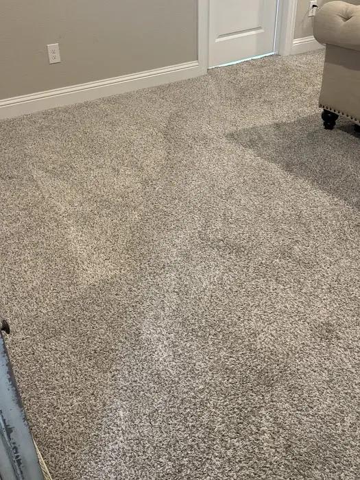 Stanley Steemer Picture 5