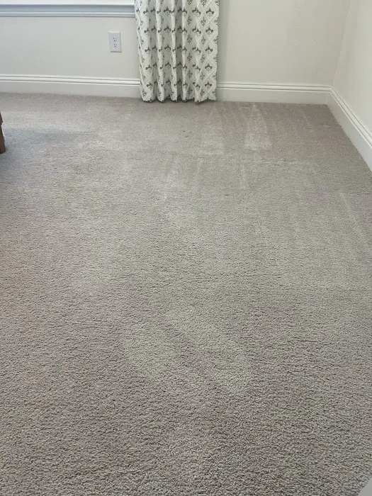 Stanley Steemer Picture 1