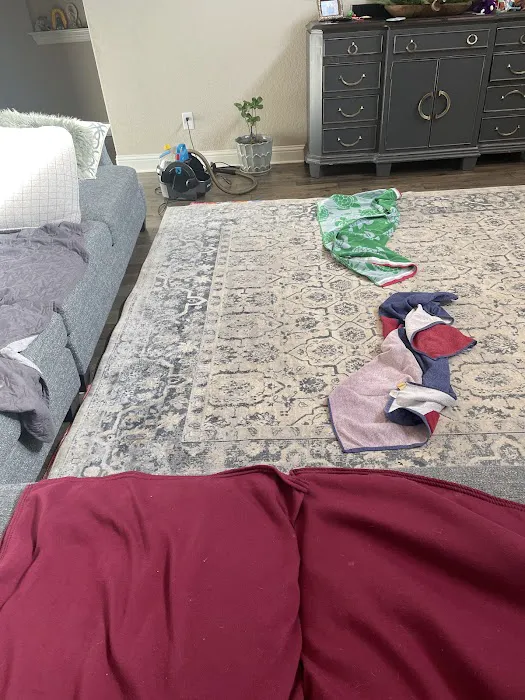 Stanley Steemer Picture 8