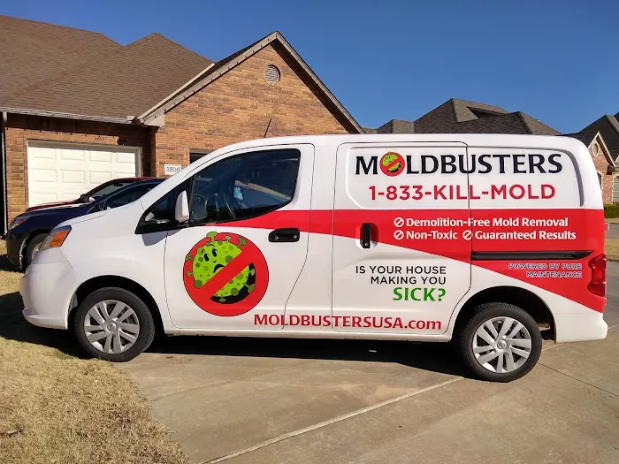 Mold Busters Fort Worth Picture 2