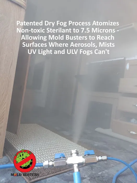 Mold Busters Fort Worth Picture 3