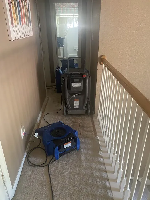 TRC Restoration Picture 1