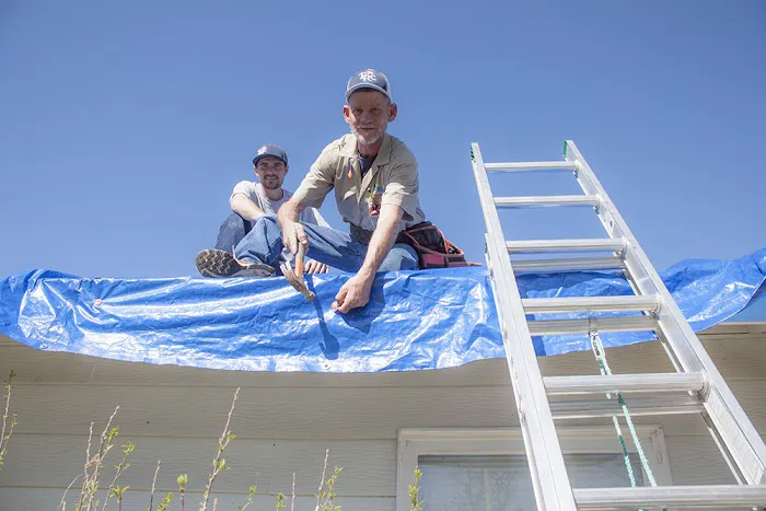 TRC Restoration Picture 5