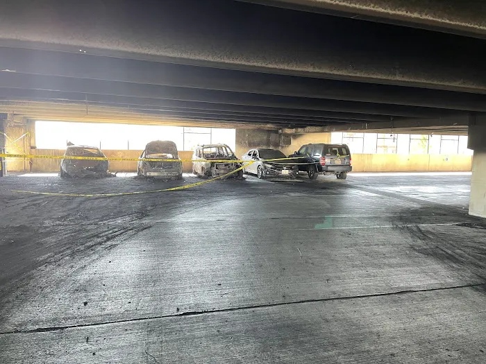 TRC Restoration Picture 7