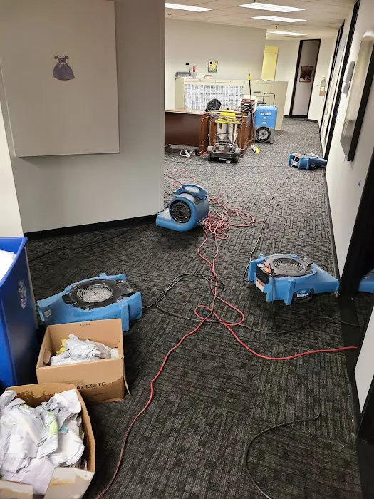 TRC Restoration Picture 9