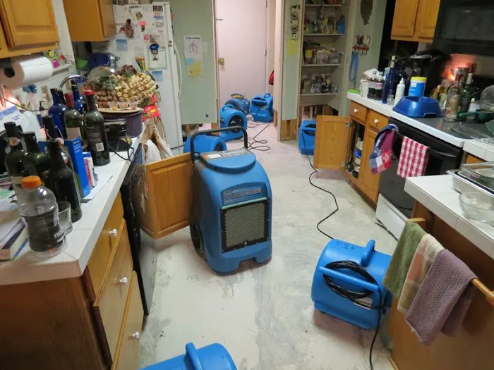 CCC Restoration Picture 2