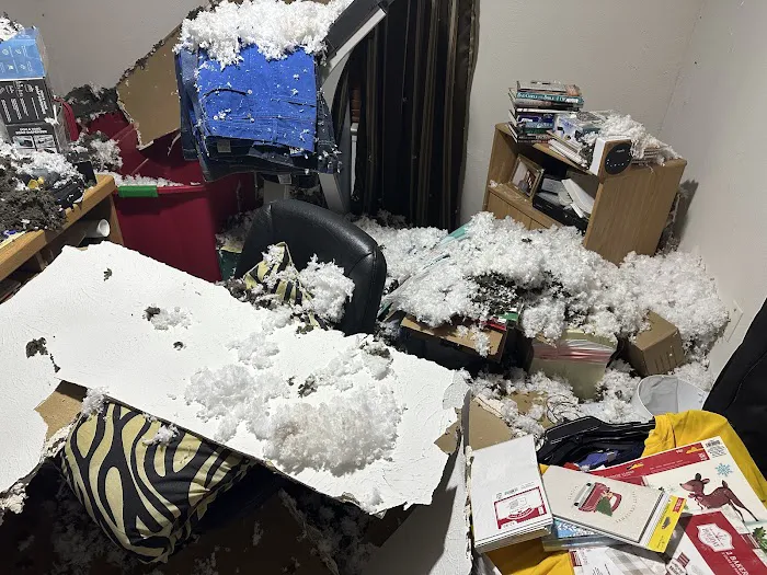 CCC Restoration Picture 5