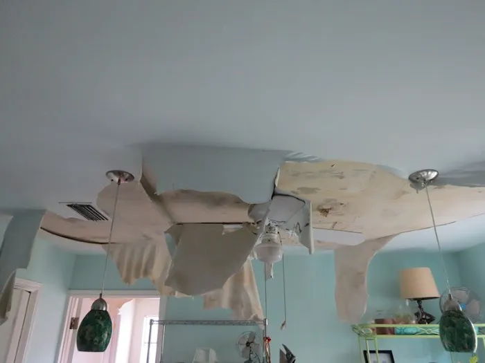 CCC Restoration Picture 9