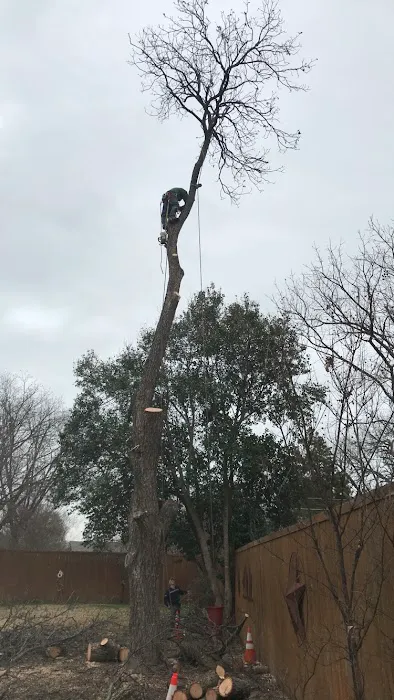 Rodriguez Water Damage Services Picture 4