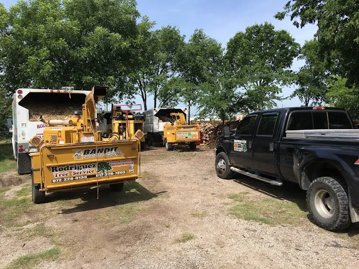 Rodriguez Water Damage Services Picture 6